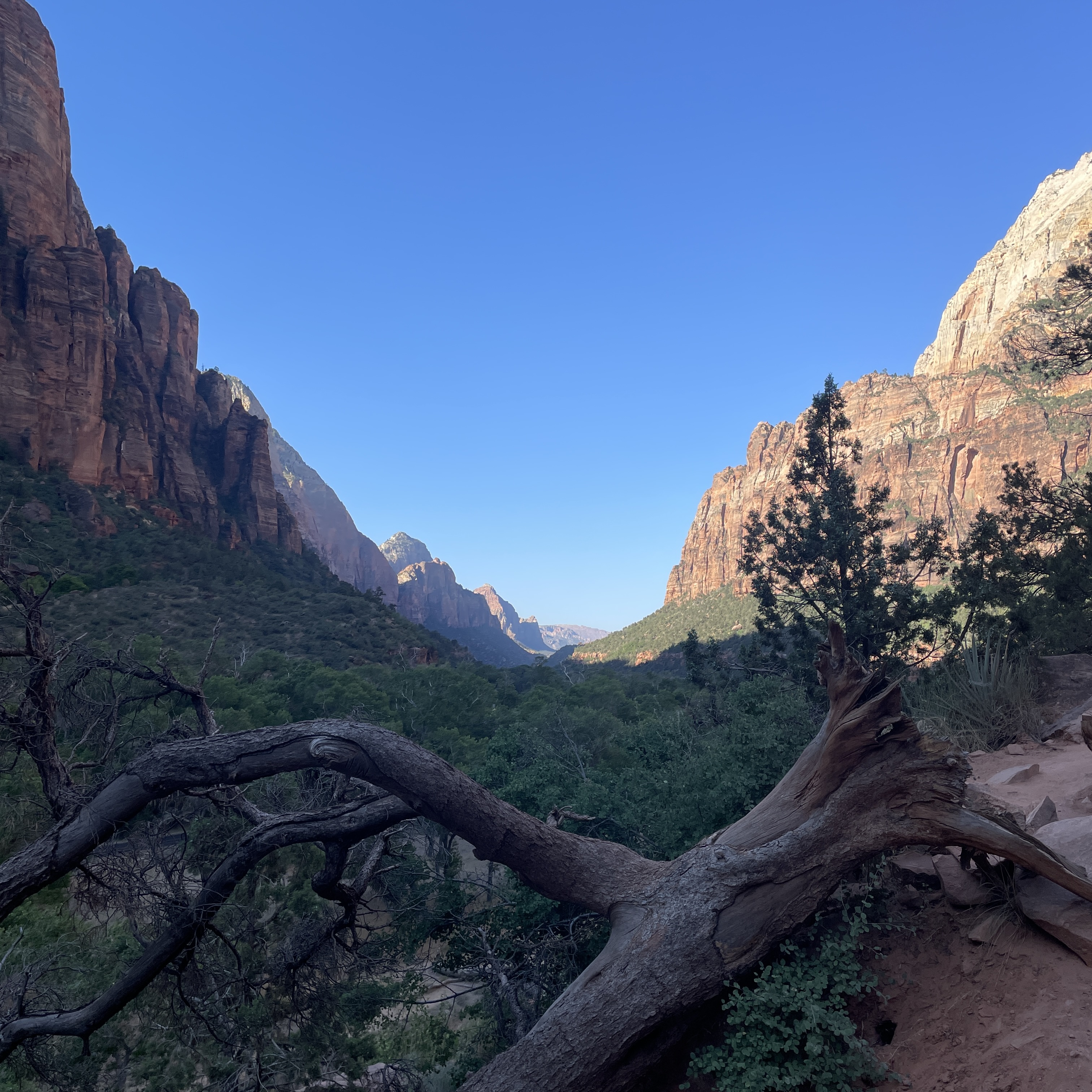 hiking